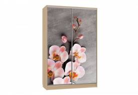 Шкаф-купе Гранд 7-600 78 дуб сонома